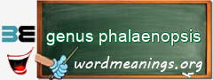 WordMeaning blackboard for genus phalaenopsis